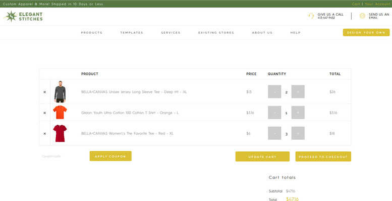 portfolio image of website