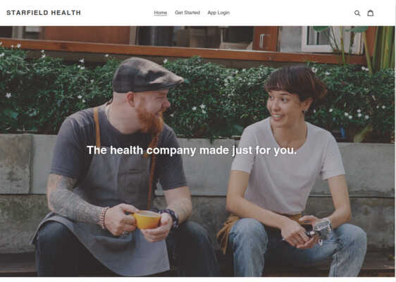 portfolio image of website