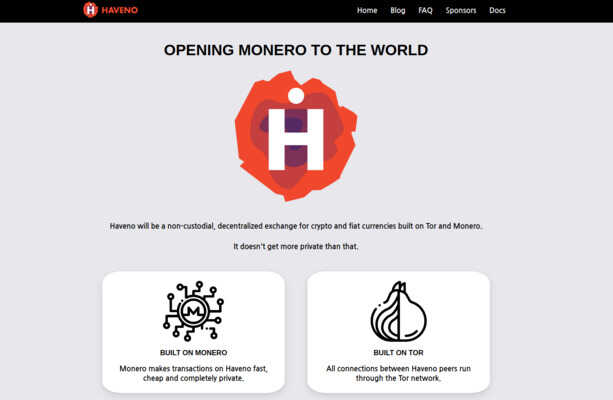 portfolio image of website