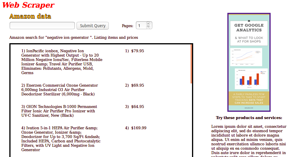 portfolio image of website